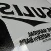 ready for silvering ready for silvering